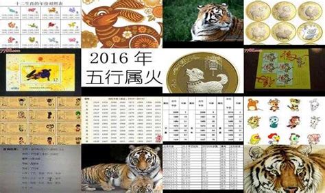 2010年是什么年|2010年